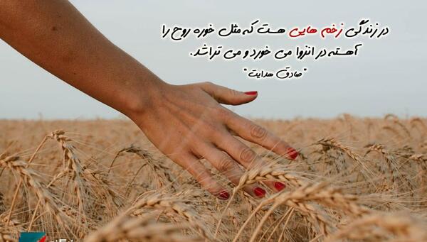 عکس نوشته در زندگی زخمهایی هست