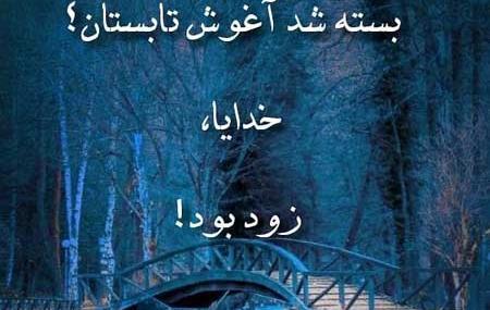عکس نوشته آخرین تابستان قرن