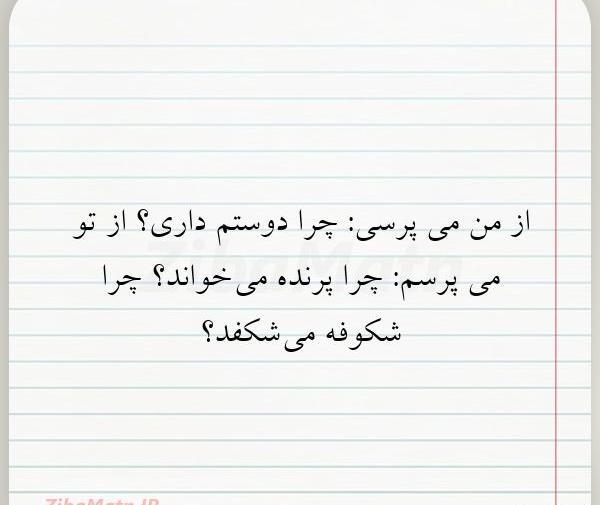 عکس نوشته چرا دوستم داری