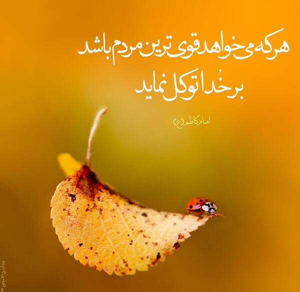 عکس نوشته قرآنی توکل