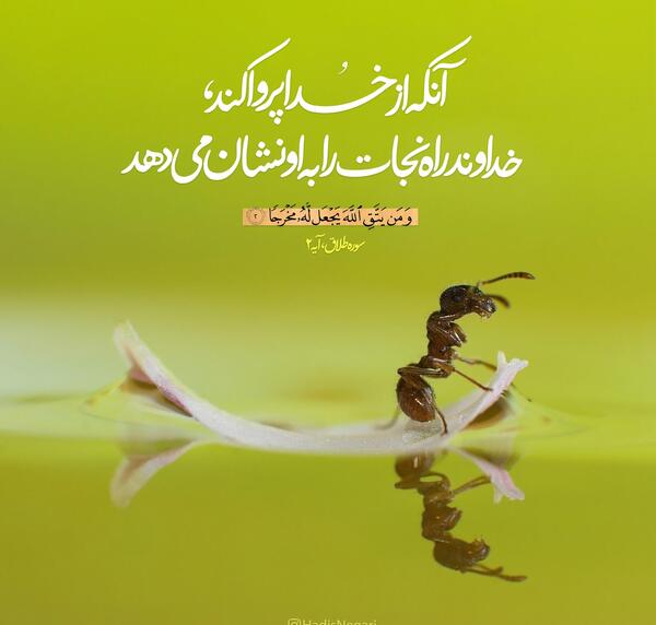 عکس نوشته قرآنی توکل