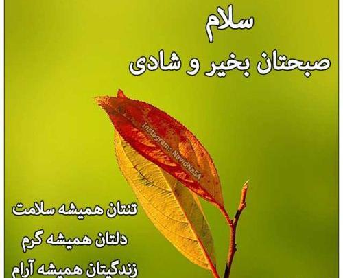عکس نوشته صبح بخیر و عاقبت بخیری
