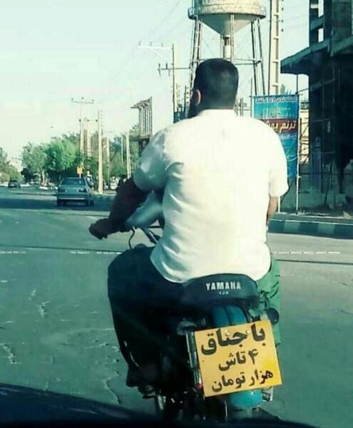 عکس نوشته طنز باجناق