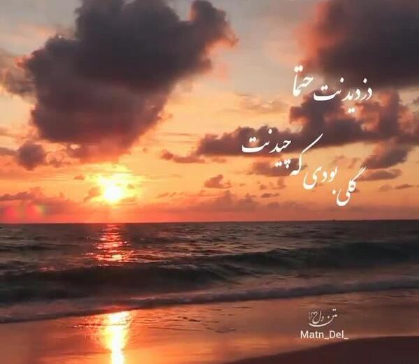 عکس نوشته تو گل بودی نه وقت چیدنت بود