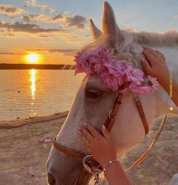 عکس پروفایل جدید ۱۴۰۳ بدون نوشته