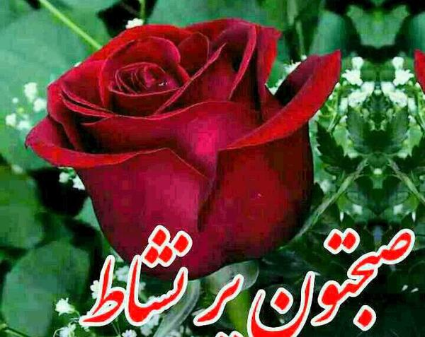 عکس نوشته سلام مهربونم