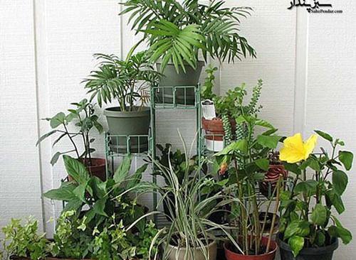 عکس نوشته پروفایل گل و گیاه