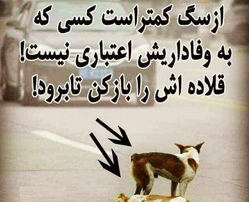 عکس نوشته رفاقت سگ