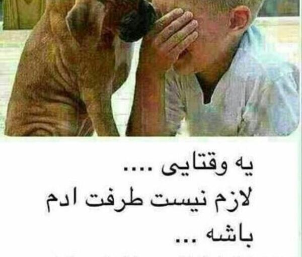 عکس نوشته رفاقت سگ