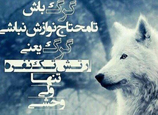 عکس نوشته رفاقت سگ