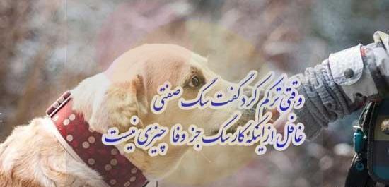 عکس نوشته رفاقت سگ