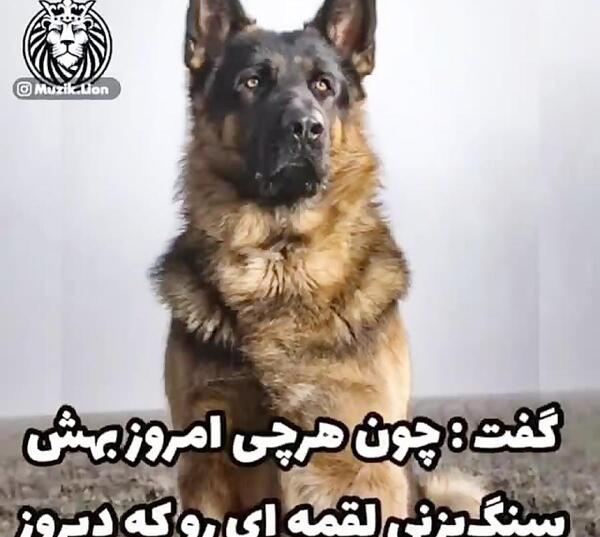 عکس نوشته رفاقت سگ