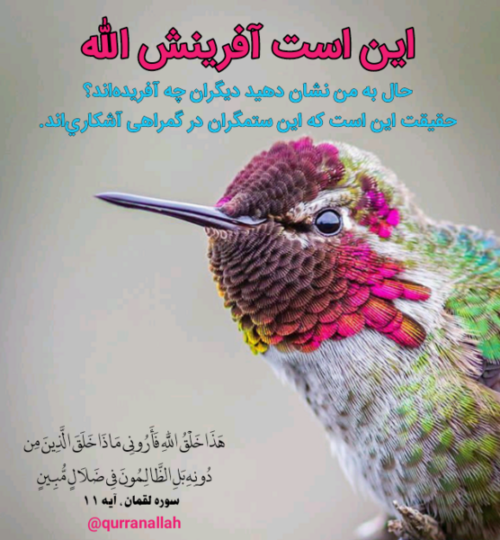 عکس نوشته قرآن عشق