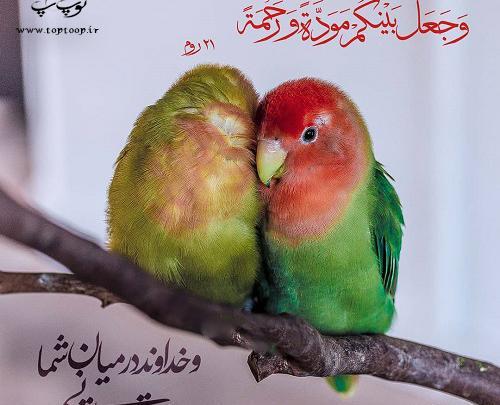 عکس نوشته قرآن عشق