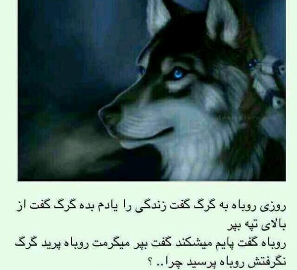 عکس نوشته هیچ وقت اعتماد نکن