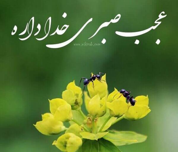 عکس نوشته صبر خواستن از خدا