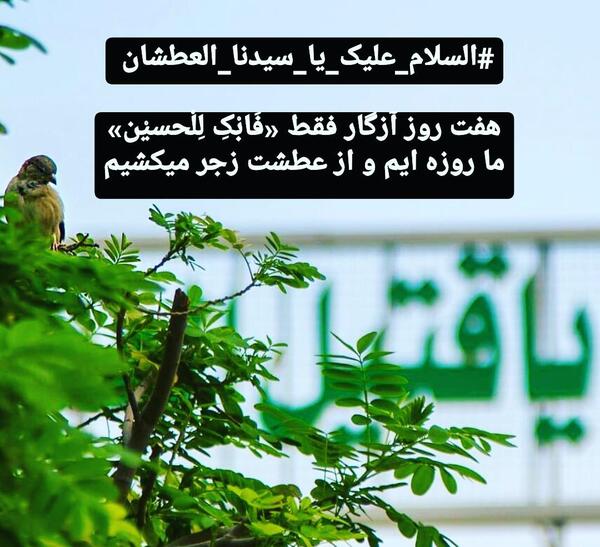 عکس نوشته یا امام حسین مریضاروشفابده