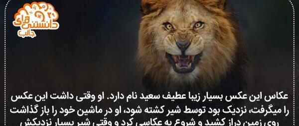 عکس نوشته های جالب و حیرت انگیز