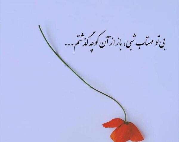 عکس نوشته بی تو مهتاب شبی باز از آن کوچه گذشتم
