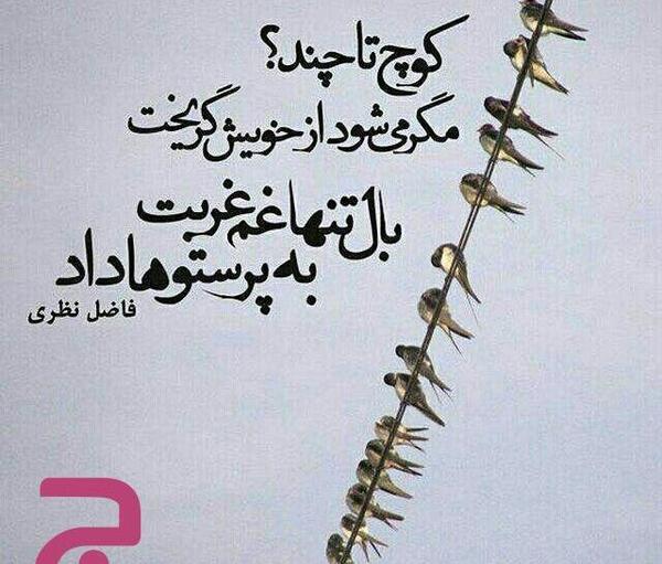 عکس نوشته شعر های فاضل نظری