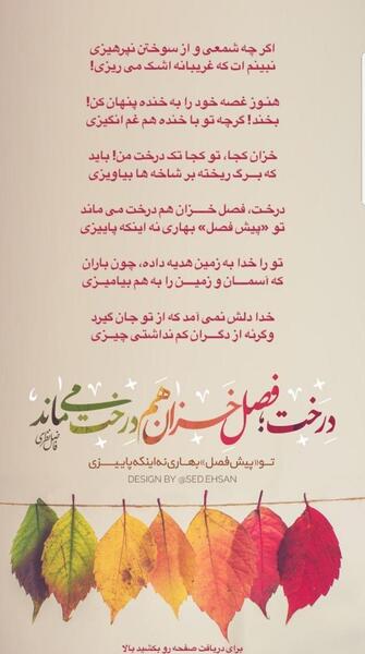عکس نوشته شعر های فاضل نظری