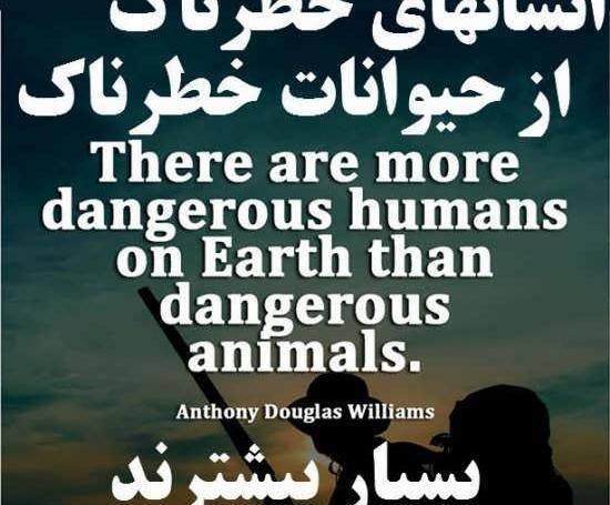 عکس نوشته باحال انگلیسی با ترجمه