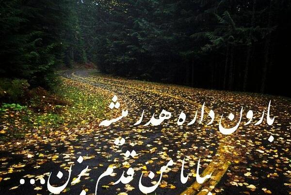 عکس نوشته بارون داره هدر میشه