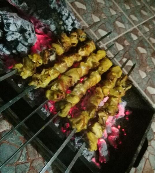 عکس فیک جوجه کباب