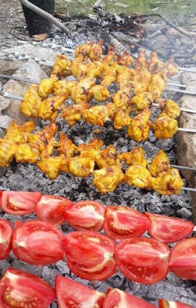 عکس فیک جوجه کباب