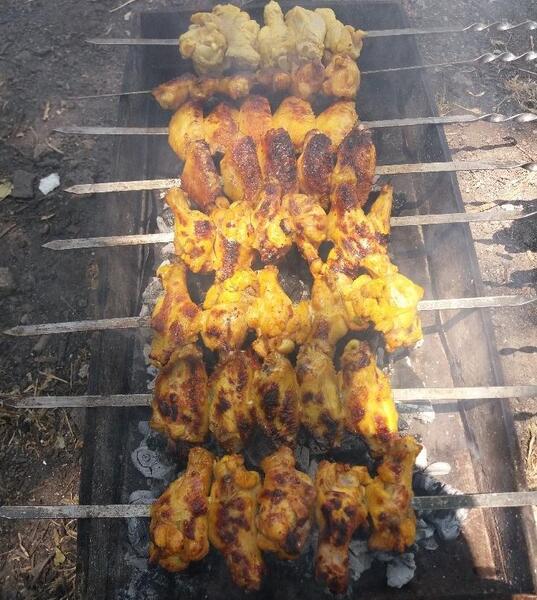 عکس فیک جوجه کباب