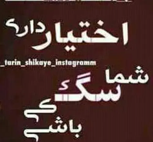 عکس نوشته تو سگ کی باشی