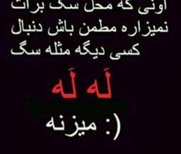 عکس نوشته تو سگ کی باشی