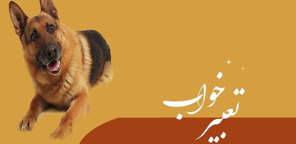 عکس نوشته تو سگ کی باشی