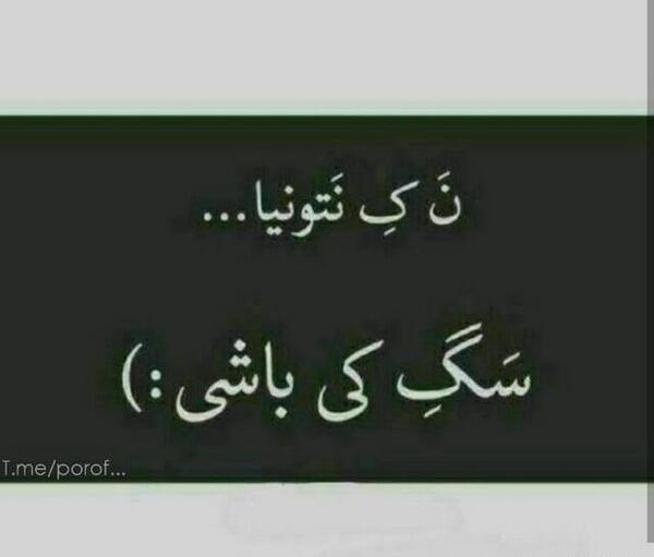 عکس نوشته تو سگ کی باشی