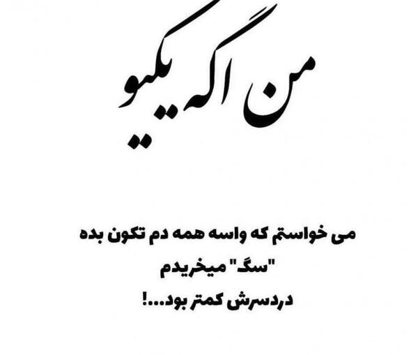 عکس نوشته تو سگ کی باشی