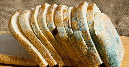 عکس اسلایم کپک زده