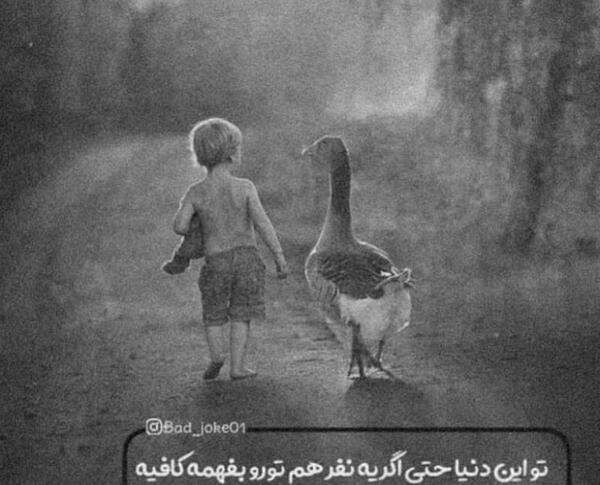 عکس نوشته تو این دنیا