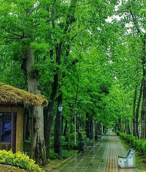 عکس نوشته زندگی فرصت بس کوتاهیست