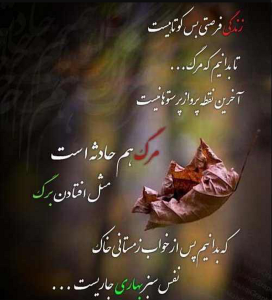 عکس نوشته زندگی فرصت بس کوتاهیست