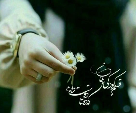 عکس نوشته تو آن بلای قشنگی که آمدی به سرم