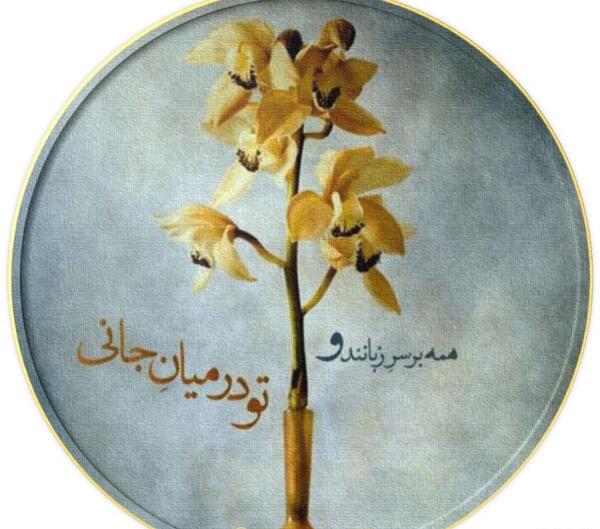 عکس نوشته تو در میان جانی
