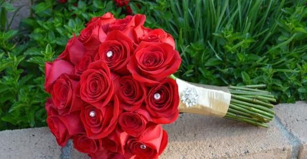 عکس دسته گل رز قرمز طبیعی