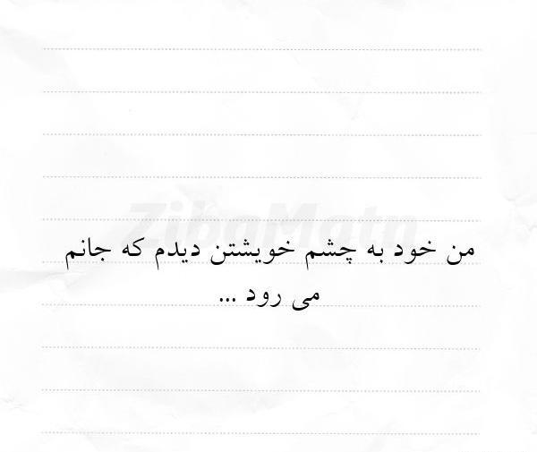عکس نوشته من به چشم خویشتن دیدم که جانم میرود