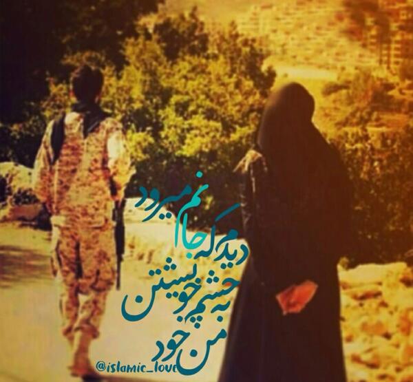 عکس نوشته من به چشم خویشتن دیدم که جانم میرود