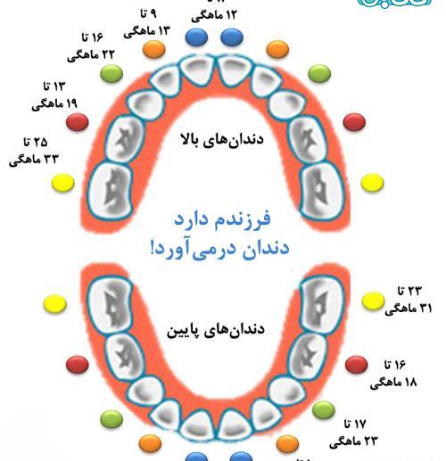 عکس نوشته اولین دندان نوزاد