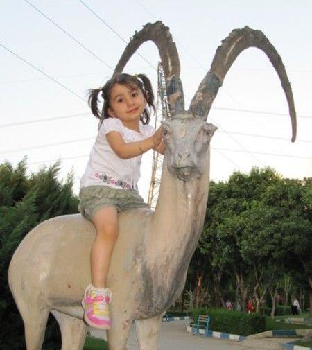 عکس خرگوش یسنا