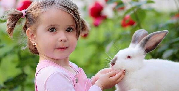 عکس خرگوش یسنا