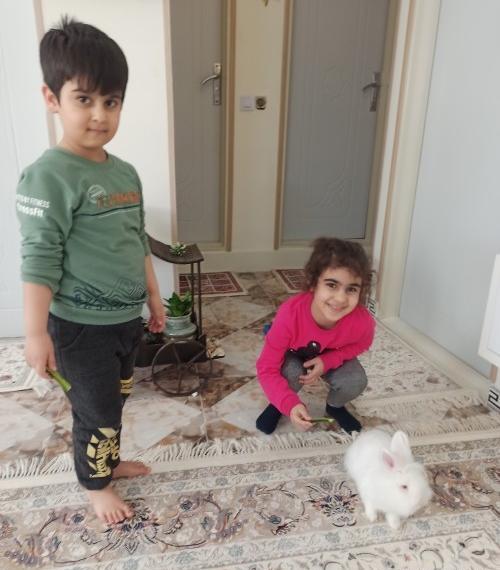 عکس خرگوش یسنا