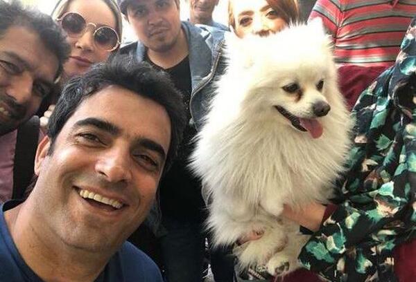 عکس پاپت سگ پگاه