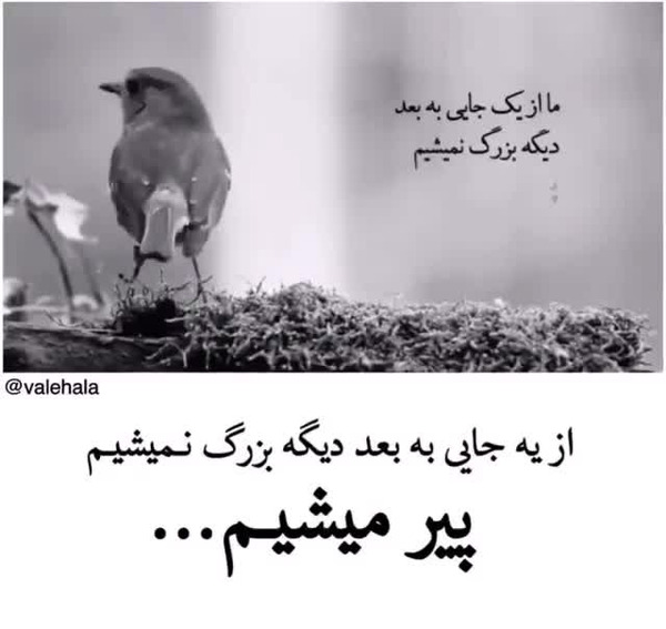 عکس نوشته تو اوج جوانی پیر شدم
